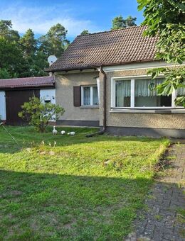 Provisionsfrei - Ländliches Wohnidyll mit Charme und Potenzial - Mühlenbecker Land