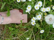 Fbilder, Barfuß im Gras, Fett, Nagellack Weiß - München Schwabing-Freimann