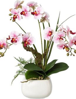 Kunstorchidee Deko-Orchidee Phalaenopsis im Keramiktopf Orchidee Phalaenopsis, Creativ green, Höhe 46 cm