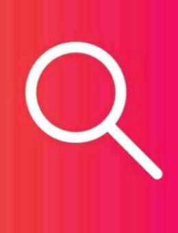 REISEBEGLEITUNG gesucht - Offenbach (Main)