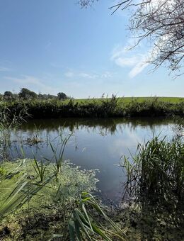 Eigenheim bei Sternberg in Flusslage - Sternberg