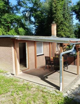 SOFORT NUTZBAR - Bungalow mitten in der malerischen Dahlener Heide - Dahlen