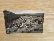 Ansichtskarte-AK-770-Blick auf Steindobra. - Nörvenich