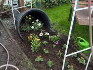 Biete Gartenpflege und Entrümpelung usw. - Nürnberg