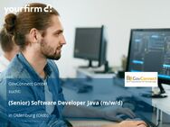 (Senior) Software Developer Java (m/w/d) - Oldenburg