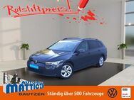 VW Golf Variant, 1.5 Golf VIII eTSI 150 L, Jahr 2022 - Bautzen