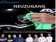 VW Tiguan, ° Head, Jahr 2021 - Leer (Ostfriesland)