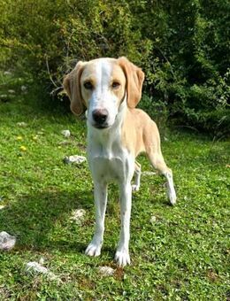 Kroki sucht dich - Ellerbek