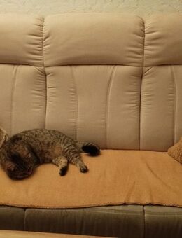 Sofa beige 2 und 3sitzer - Bad Dürrheim