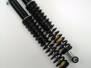 Falcon Classic Twin-Shock Stossdämpfer für Mofarennen Moped Wettbewerb - Eschershausen