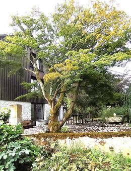 Zweifamilienhaus in ländlicher Lage - Essen