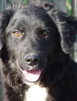 CLIFF möchte sein Leben beginnen - Gefrees