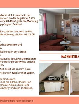 Nachmieter gesucht - Nürnberg