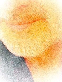 ❤️ Unternehmer und Gentleman sucht lebenslustige Sie. - Heilbronn