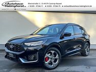 Ford Kuga, 1.5 ST-Line X eHk Sync4, Jahr 2024 - Castrop-Rauxel