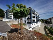 Luxuriös und neuwertig 4 Zi, Küche, Bad, Gäste WC, Balkon, Stellplatz, TG - Bad Mergentheim