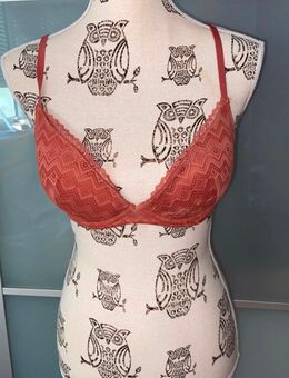 Zartes Spitzen-Bralette von H&M in Rostrot - Paderborn