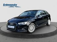 Audi A3, TDI SB Ambiente quattro DSP, Jahr 2013 - Celle