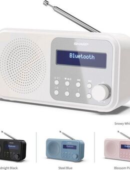 Sharp DR-P420 Radio (Digitalradio (DAB), FM-Tuner mit RDS, 2 W)
