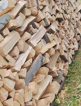 Brennholz Buche - Niederorschel