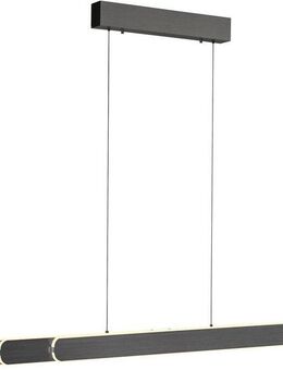 Paul Neuhaus Pendelleuchte ADRIANAROU, Dimmfunktion, Memory, nach Trennung vom Netz, LED fest integriert, warmweiß - kaltweiß, CCT - über Touch, dimmbar über Touchdimmer, Comfort Lift