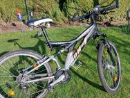 Fahrrad der Marke Bulls - Zolling