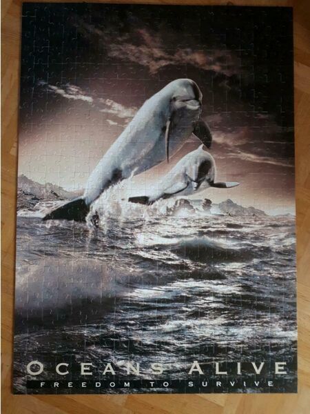 Ravensburger Puzzle Delphine 1000 Teile - Frankfurt (Main) Zeilsheim