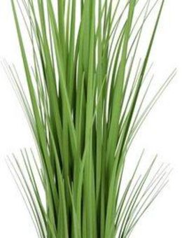 Kunstpflanze Grasbund, I.GE.A., Höhe 50 cm