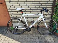 Verkaufe mein Fitnessbike aus Krankheitsgründen - Ahlen