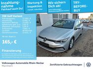 VW Golf Variant, 2.0 TDI VIII Life Side, Jahr 2021 - Mannheim