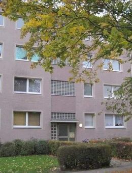 Es kann nichts besseres geben, als im Erdgeschoss zu leben! - Braunschweig