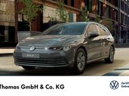 VW Golf Variant, 2.0 TDI Golf VIII Life, Jahr 2024 - Celle