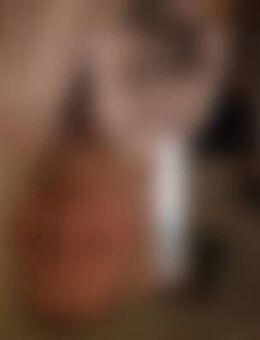 Foc*** - Frankenberg (Sachsen)