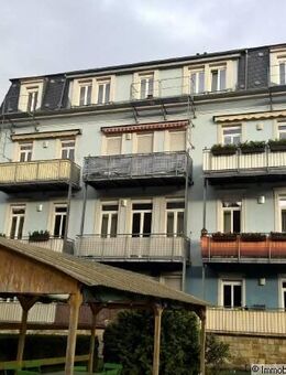 Traumhafter Elbblick - Bad Schandau