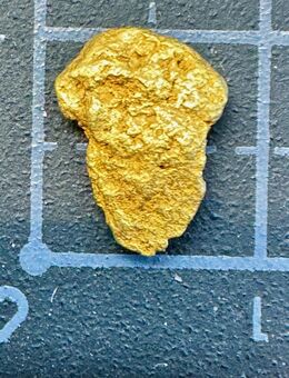 Africa Shape Goldnugget Silverado Mine Alaska Sammlerstück - Köln