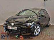 VW Golf, 1.5 l TSI Life AMBIENTE, Jahr 2022 - Ganderkesee