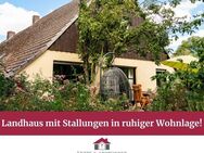 Landhaus (3 Wohneinheiten) mit Stallungen in ruhiger Wohnlage! - Warstein