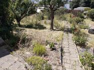 Kleingarten in Pirna kostenlos abzugeben - Pirna