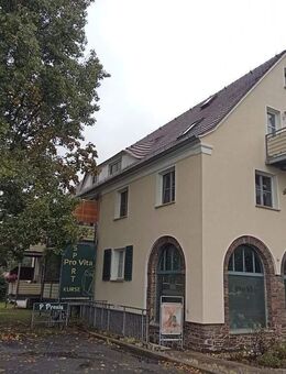 SCHICKE DACHGESCHOSSWOHNUNG MIT GUTEM SCHNITT Am Puls der Stadt und nahe der Elbe. - Dresden