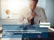 Senior Accountant / Bilanzbuchhalter / Betriebswirt Rechnungswesen / Controlling (m/w/d) - Mainz