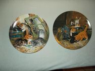 12 Katzen-Sammelteller von Seltmann Weiden 135 € - Gummersbach