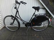 Gazelle a-touren Damen Hollandrad Holland Fahrrad 28er RH 58 cm 199,- - Flensburg