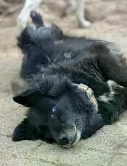 LILITH - blind aber nicht hilflos - Aerzen