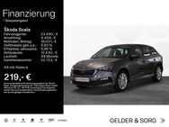 Skoda Scala, 1.5 TSI Tour, Jahr 2023 - Haßfurt