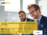 Experte - Business Controlling und Reporting (m/w/d) - Arnstadt