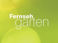 4 Karten für den 27.07. Fernsehgarten - Schwelm