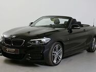 BMW M240i, xDr Cabrio H&K Lenkradh, Jahr 2021 - Paderborn