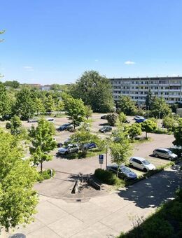 PREISAKTION - Dessau-Roßlau