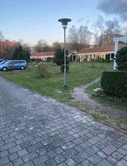 2-Zimmer-Erdgeschosswohnung mit Terrasse - Stralsund