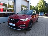 Opel Grandland X, Schein, Jahr 2020 - Oyten